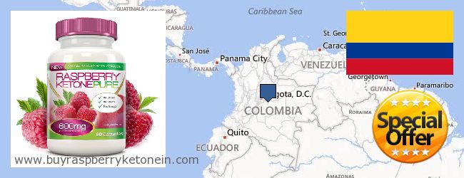 Dove acquistare Raspberry Ketone in linea Colombia